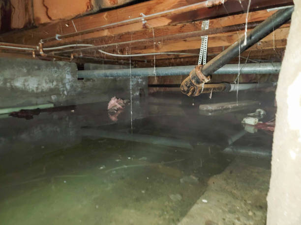 Kalida, OH Water damage restoration Company