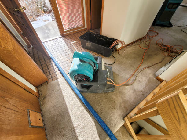 Best Emergency water damage restoration  in Kalida, OH