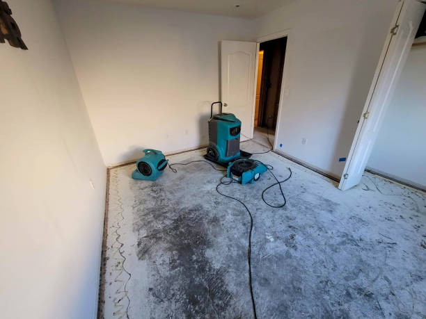  Kalida, OH Water damage restoration Pros