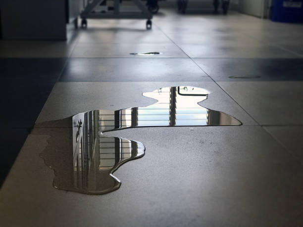 Best Water damage cleanup near me  in Kalida, OH