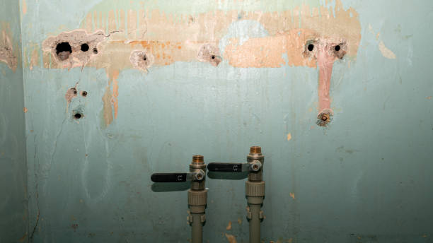 Best Residential water damage restoration  in Kalida, OH