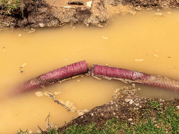 Water damage restoration mold remediation in Kalida, OH