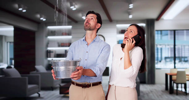 Best Fire Damage Restoration  in Kalida, OH