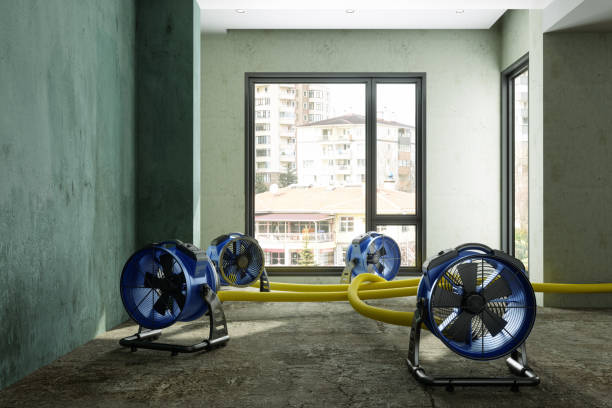 Best Sewage cleanup and water damage restoration  in Kalida, OH